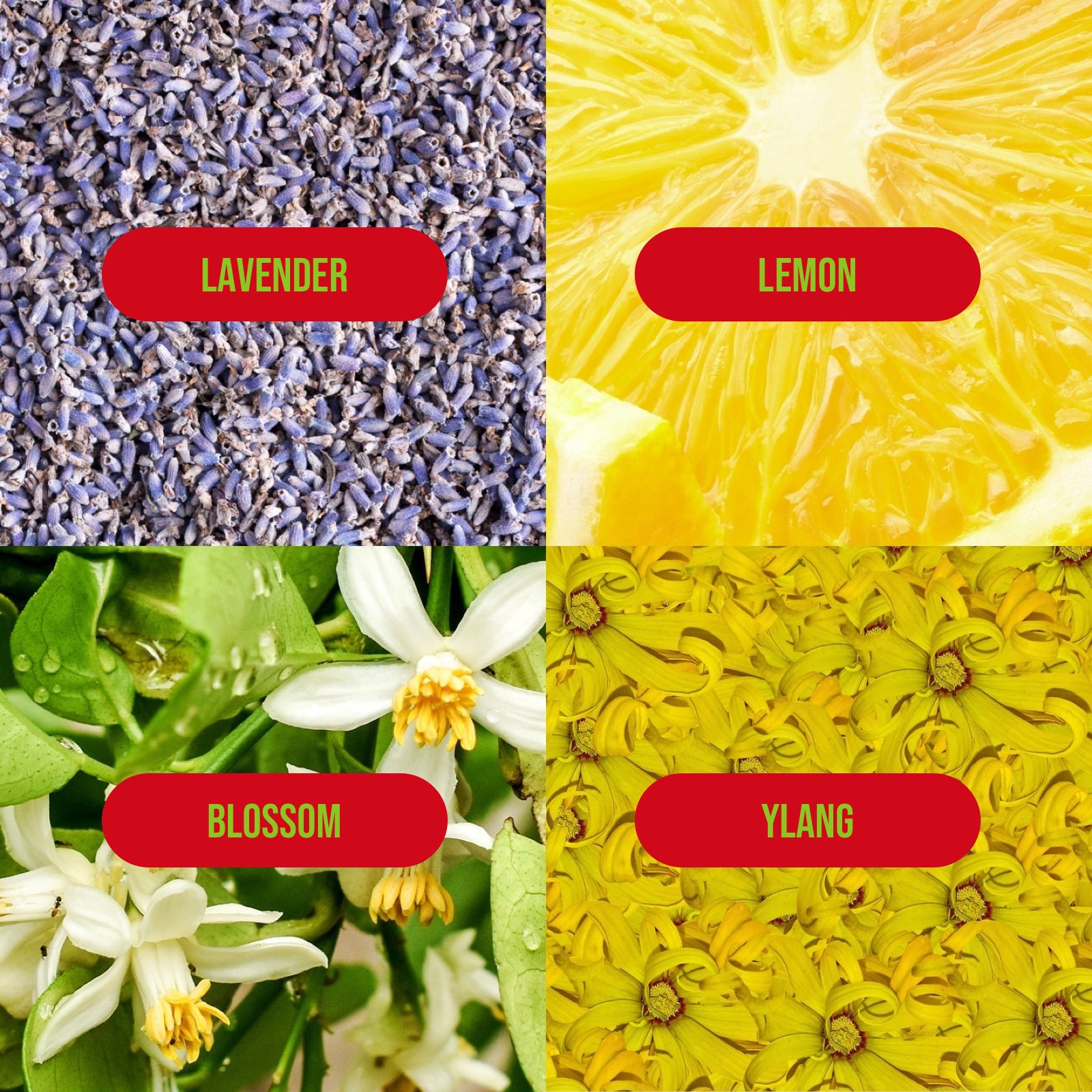 Holly Dazed Mini Hand Crème