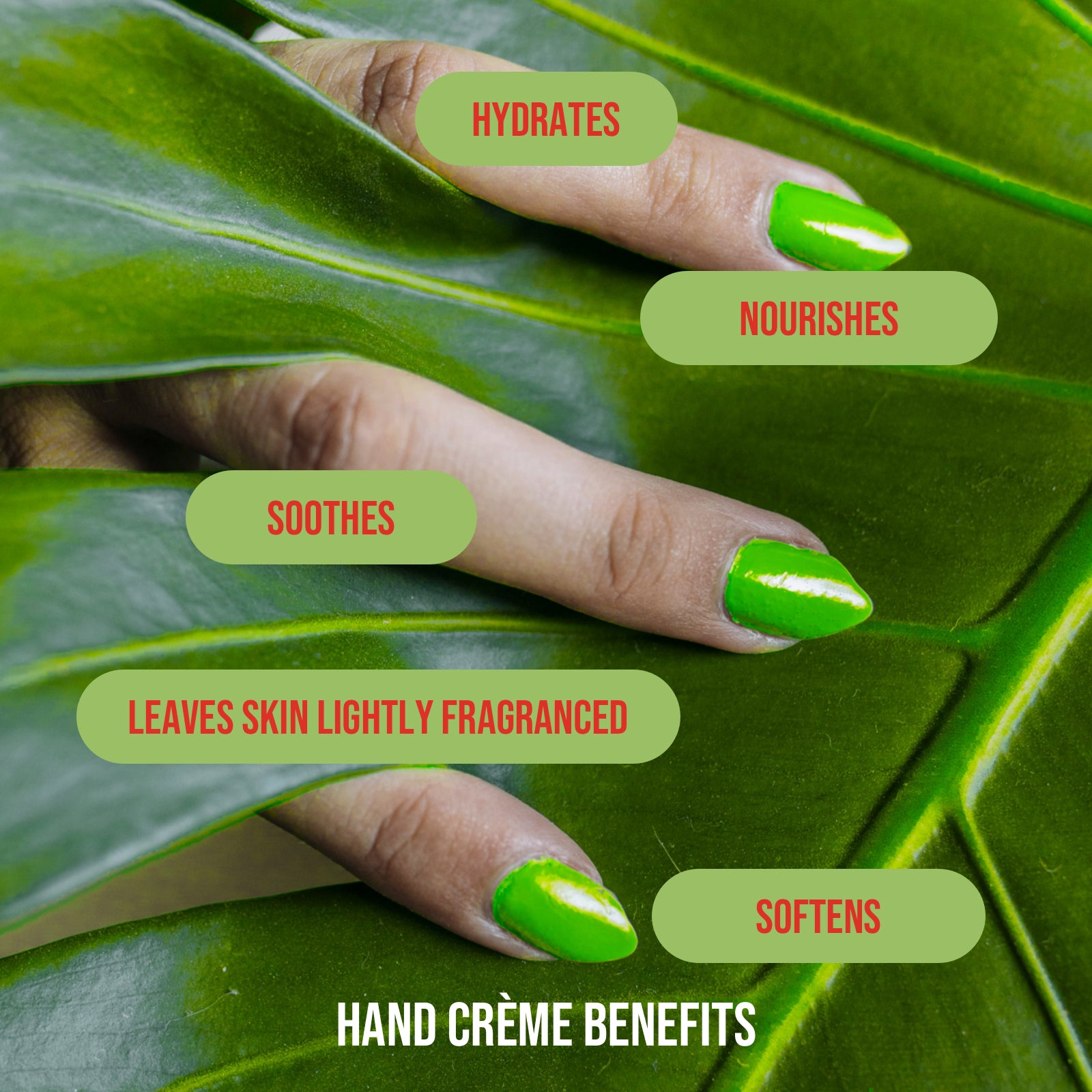 Crazy Plant Lady - Sassy and Co™ - Mini Hand Crème