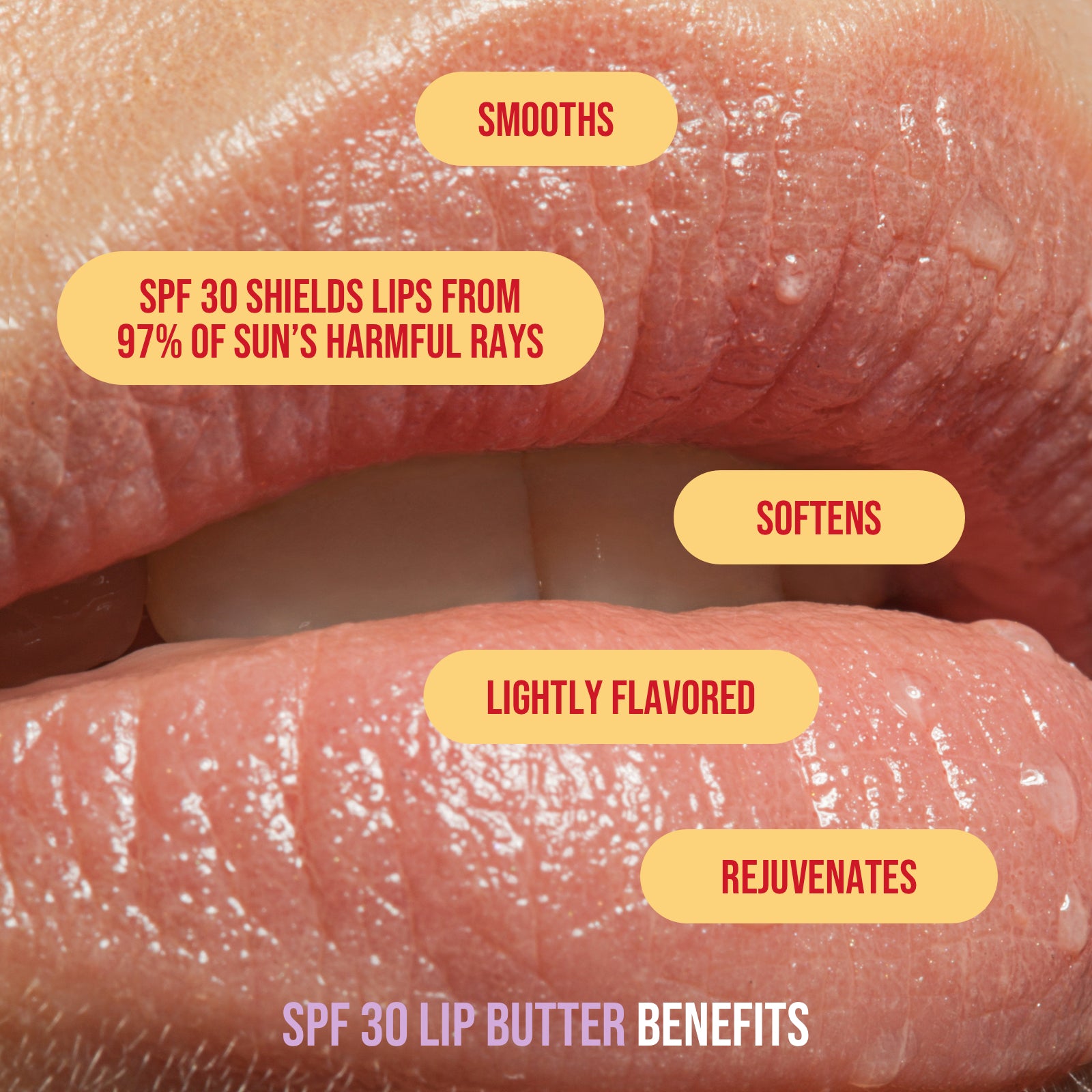 close up of woman's lips with listed benefits of spf 30 lip butter: smooths, spf 30 shields lips from 97% of sun's harmful rays, softens, lightly flavored, rejuvenates