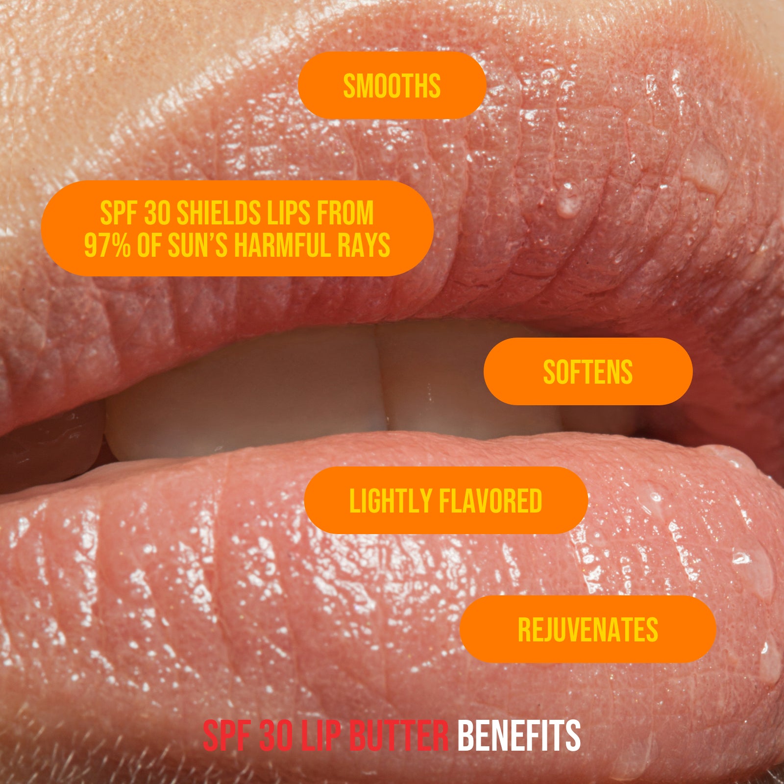 close up of woman's lips with listed benefits of spf 30 lip butter: smooths, spf 30 shields lips from 97% of sun's harmful rays, softens, lightly flavored, rejuvenates