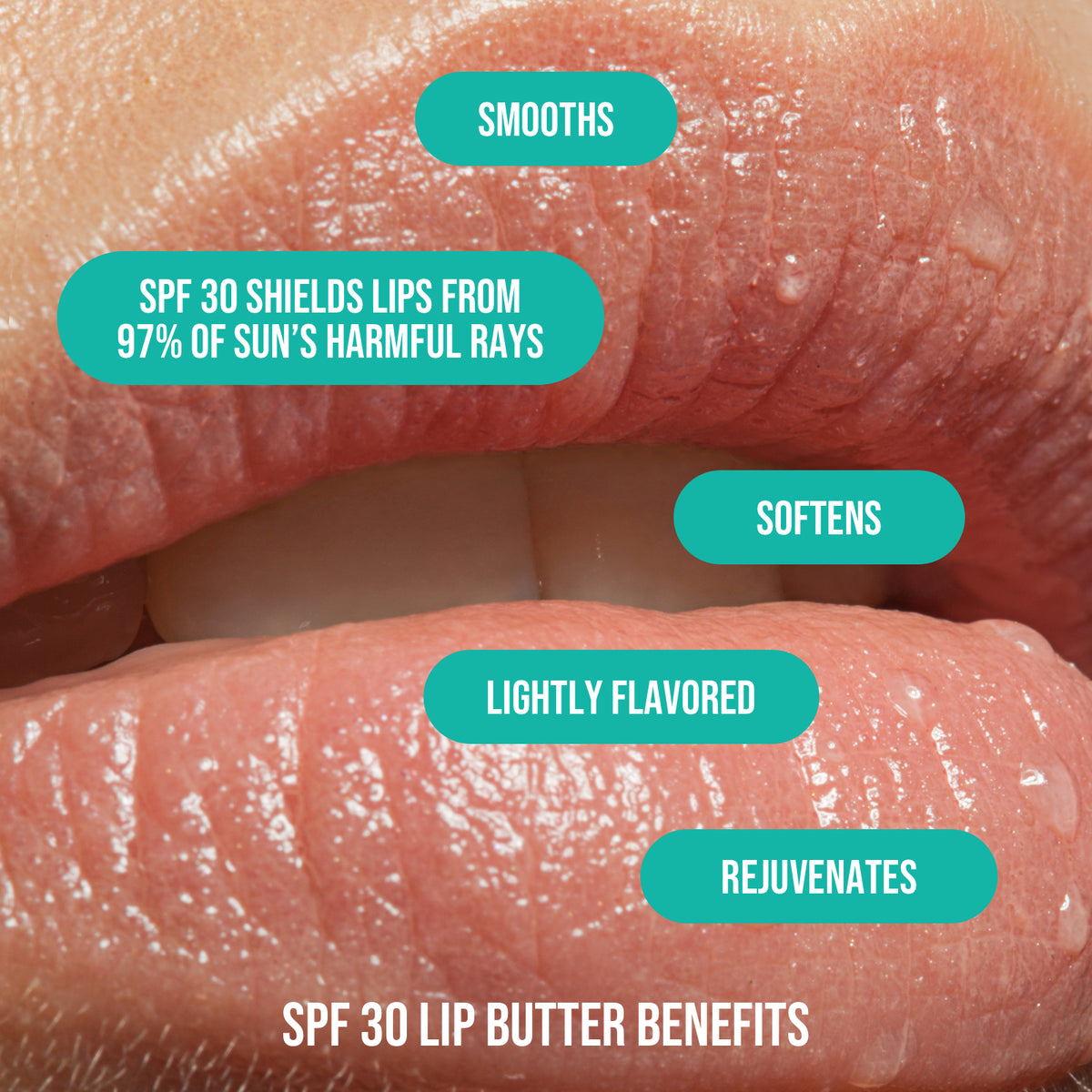 Up to Snow Good – SPF 30 Lip Butter | Sassy and Co™ Holiday Collection