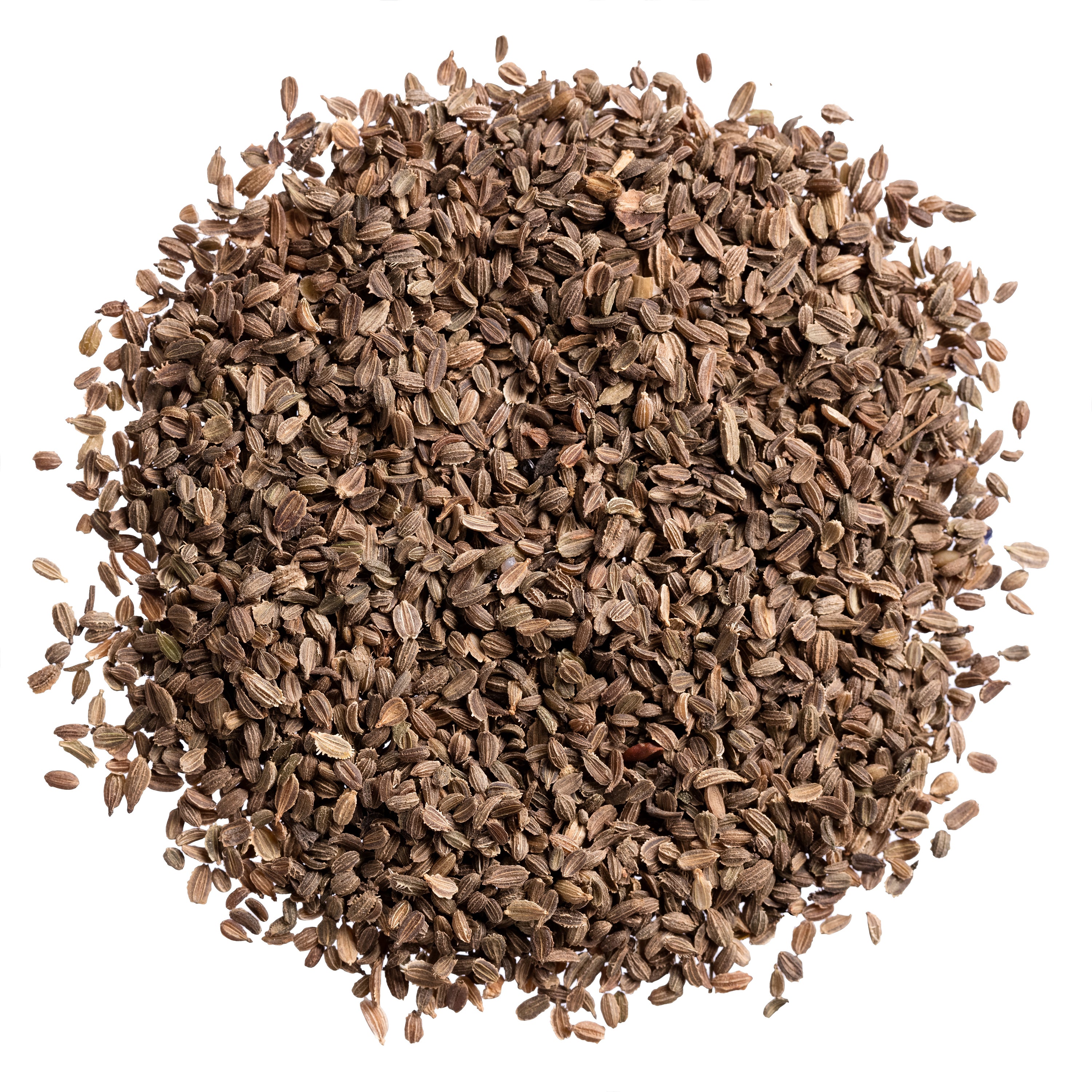 overhead view of carrot seeds