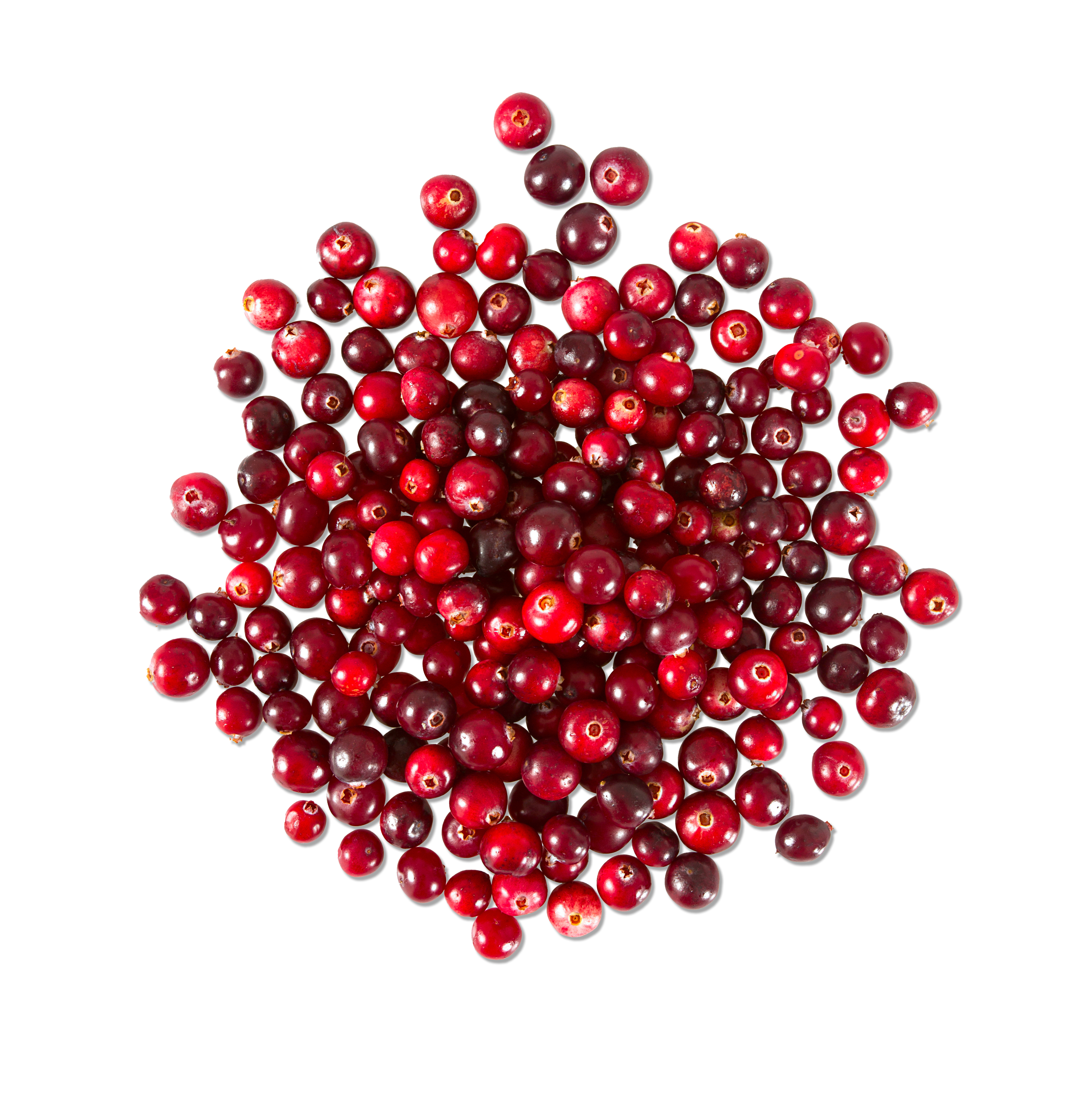 overhead view of cranberries
