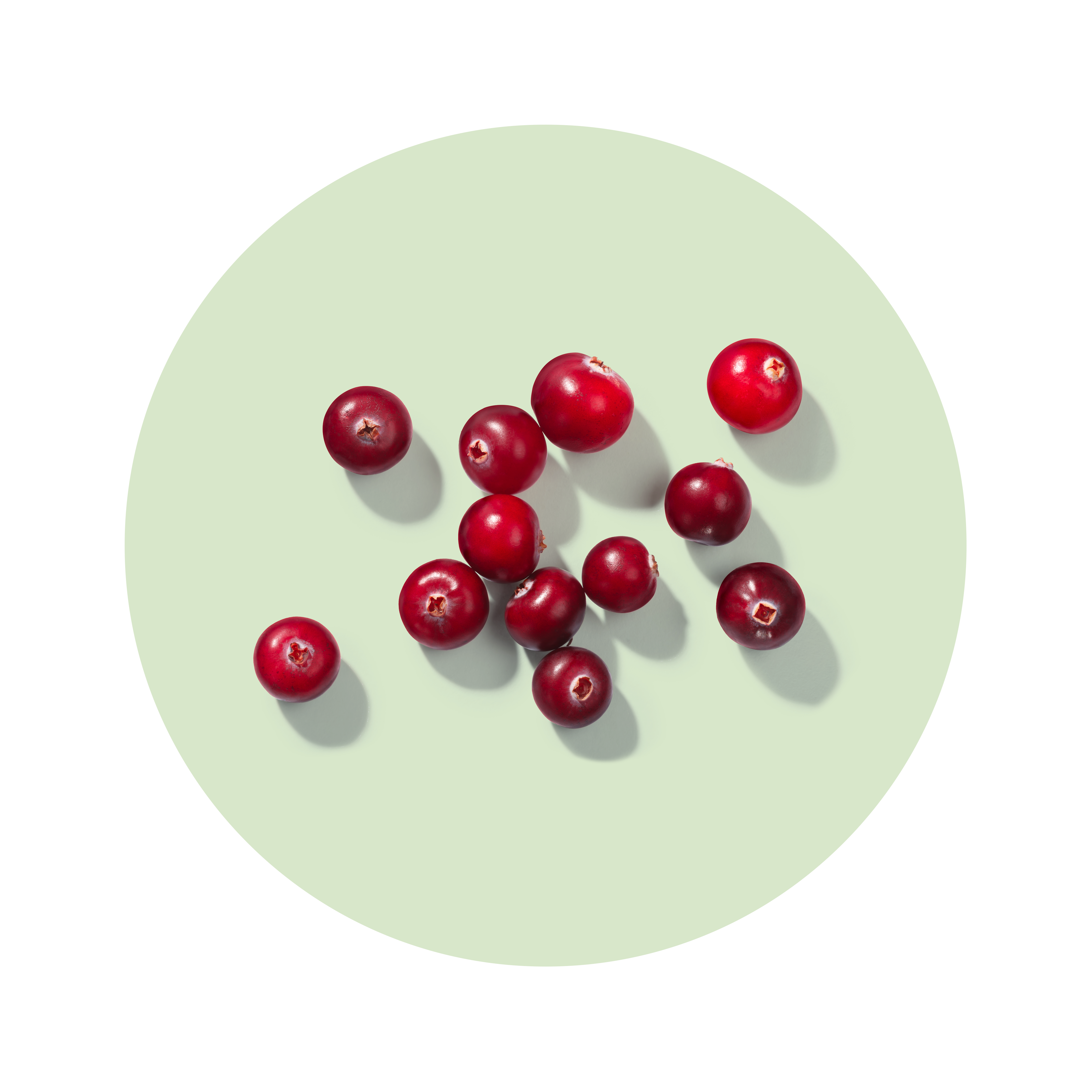 overhead view of cranberries, an exseed ingredient