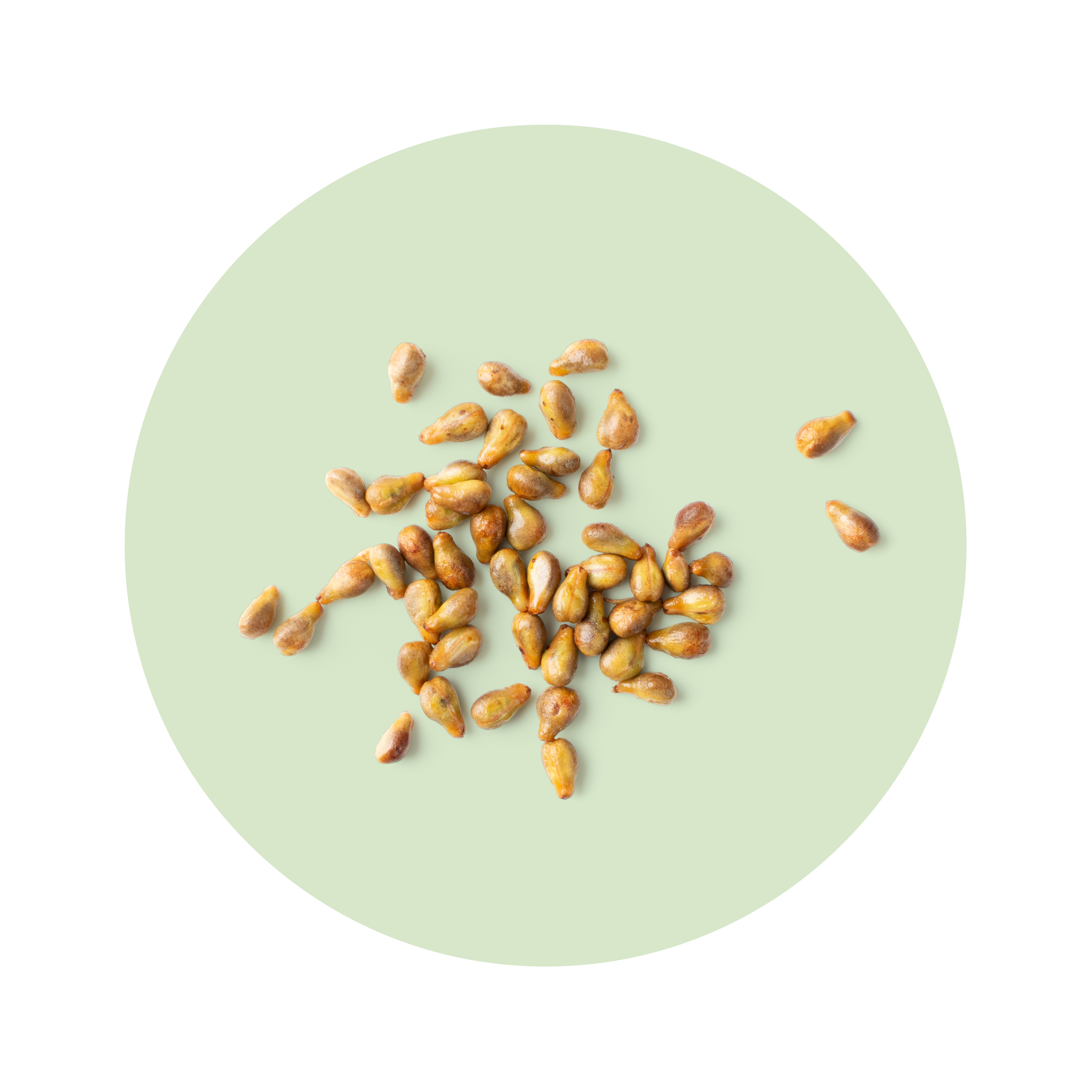 overhead view of grape seeds, an exseed ingredient
