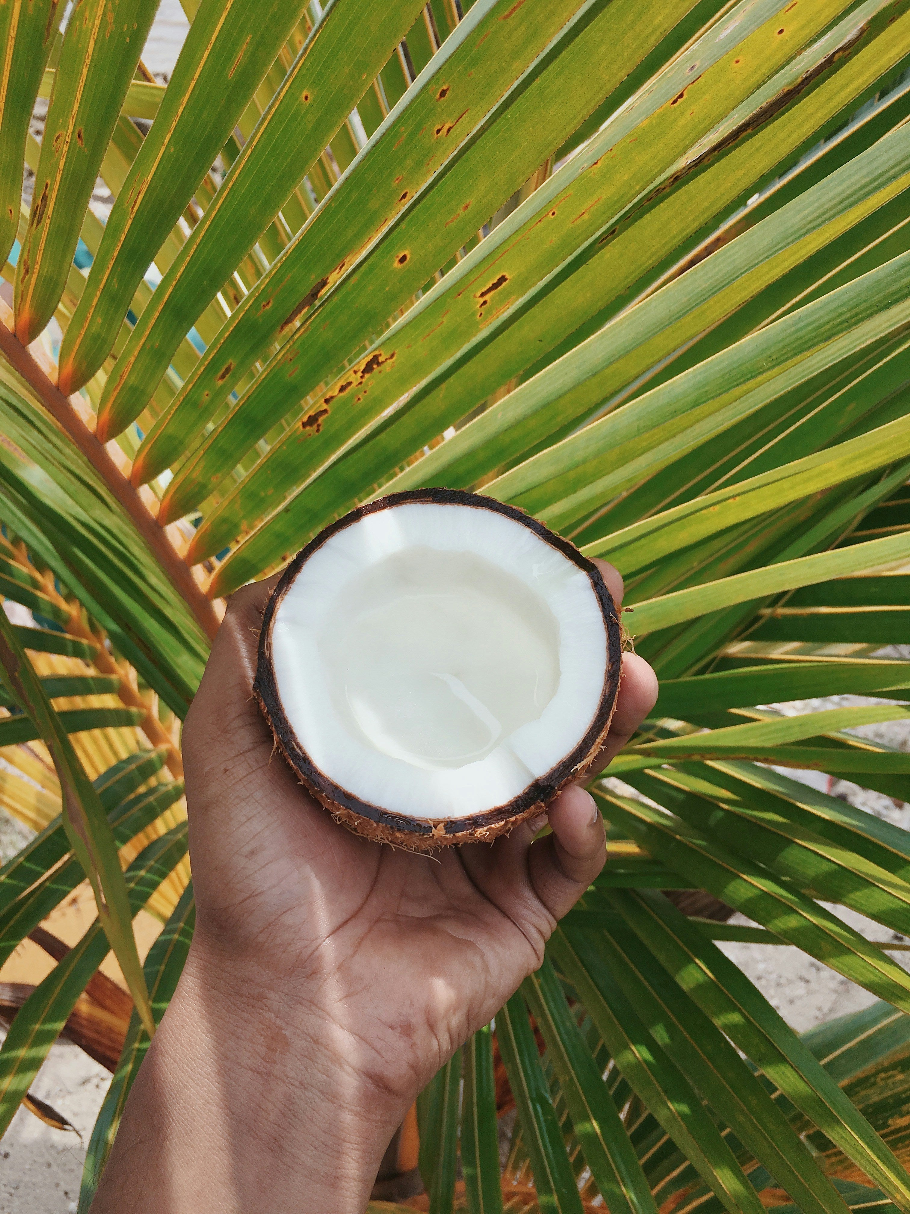 Head-To-Toe Glow Gift Set - Coconut Ambre Vanille