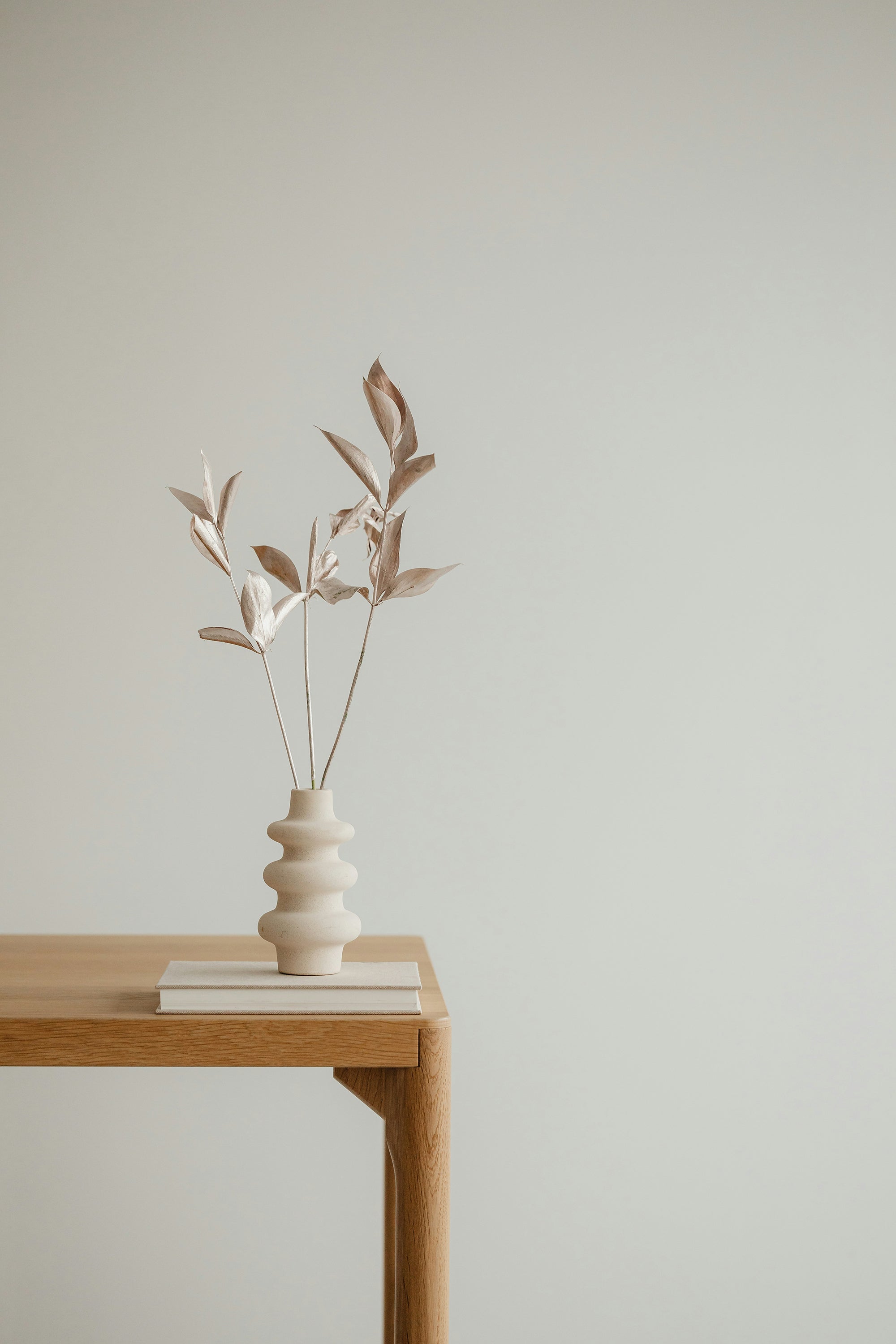 minimal image of a table with a plant in a home