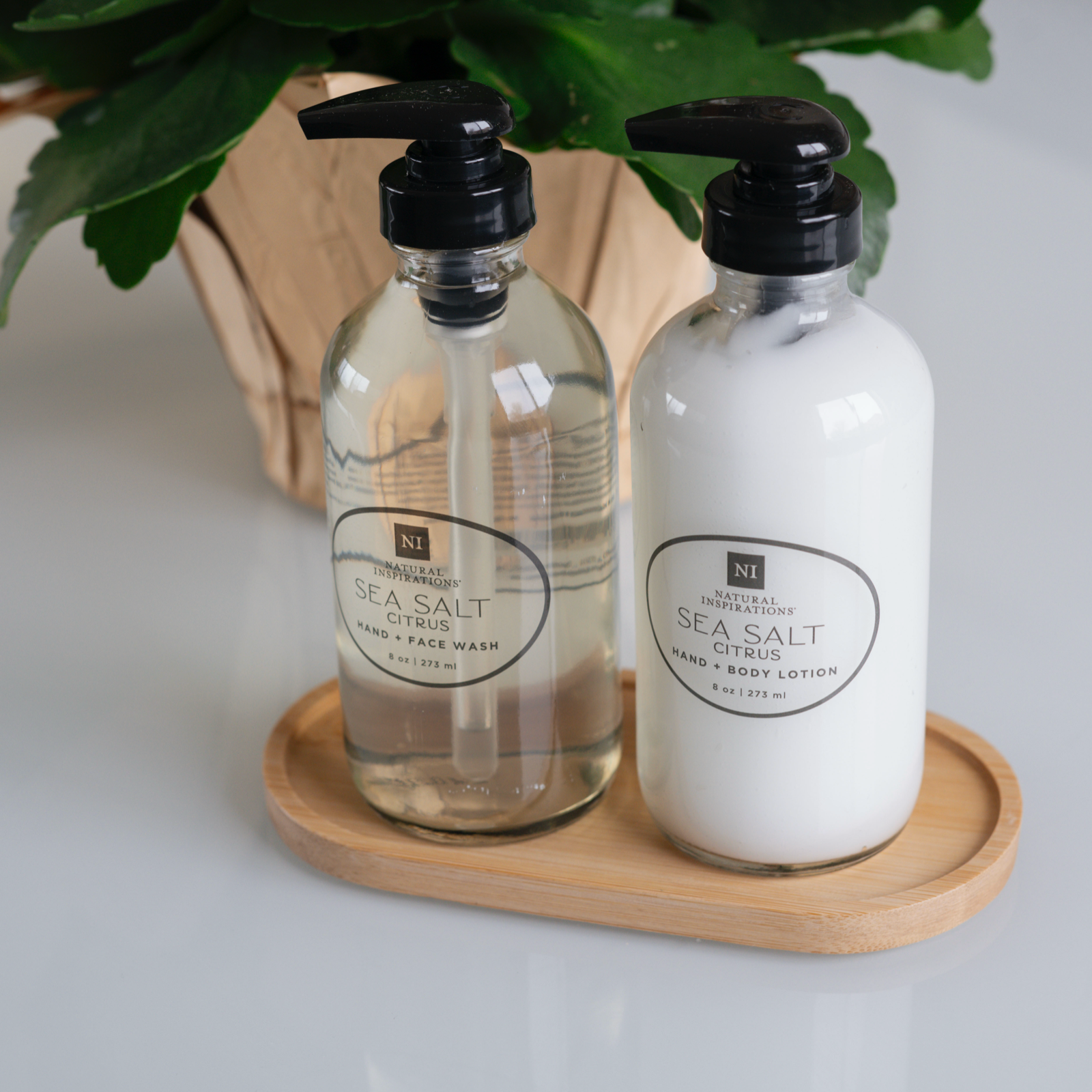 close up of glass hand and body lotion and glass hand and face wash placed on a bamboo tray, on a glass table with a plant in the background
