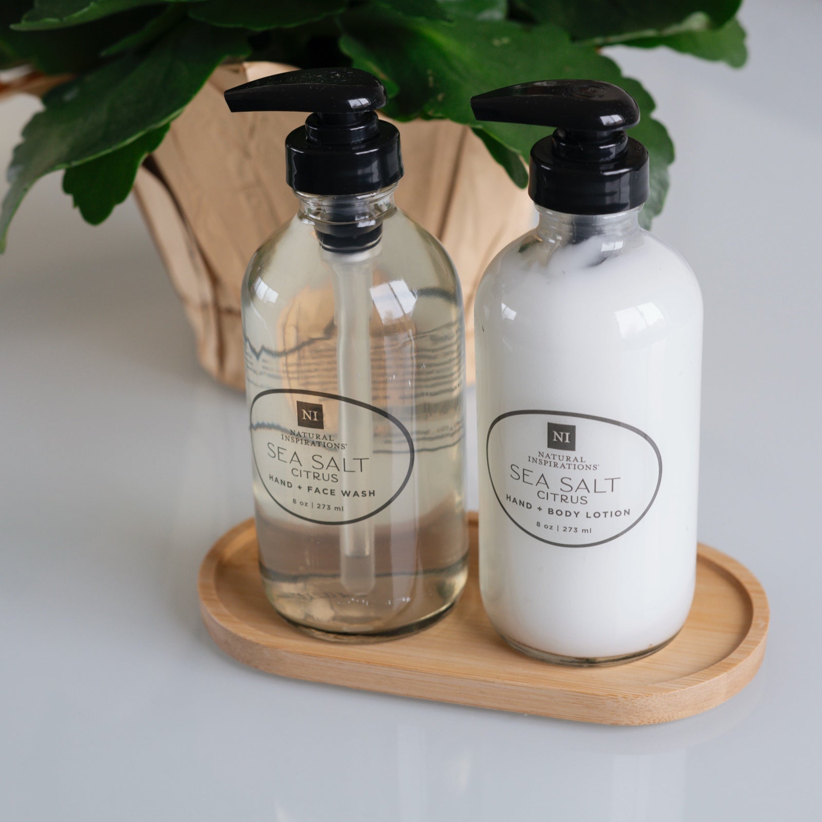 close up of glass hand and body lotion and glass hand and face wash placed on a bamboo tray, on a glass table with a plant in the background