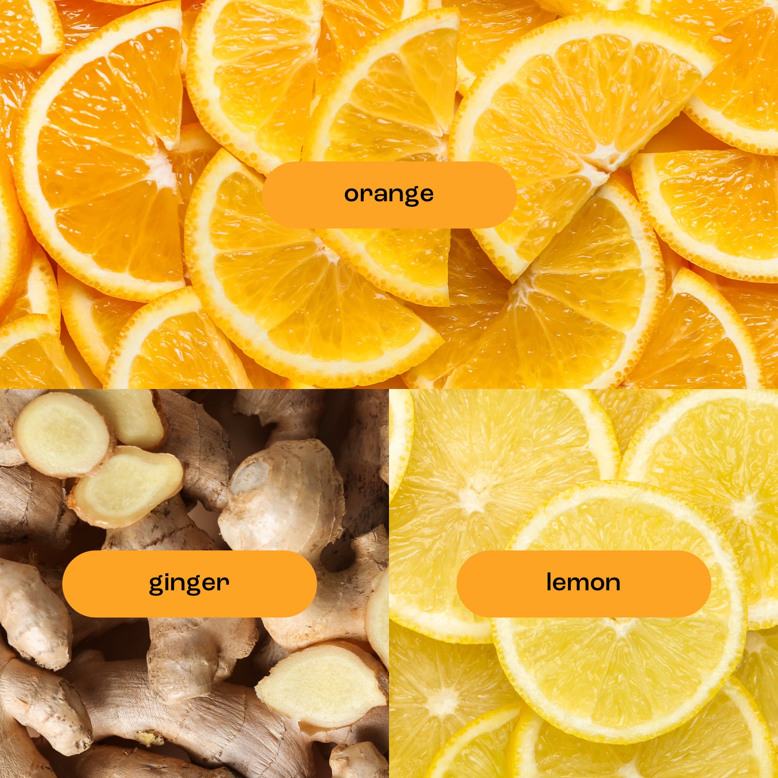 Orange Ginger 3.4 oz Hand Creme
