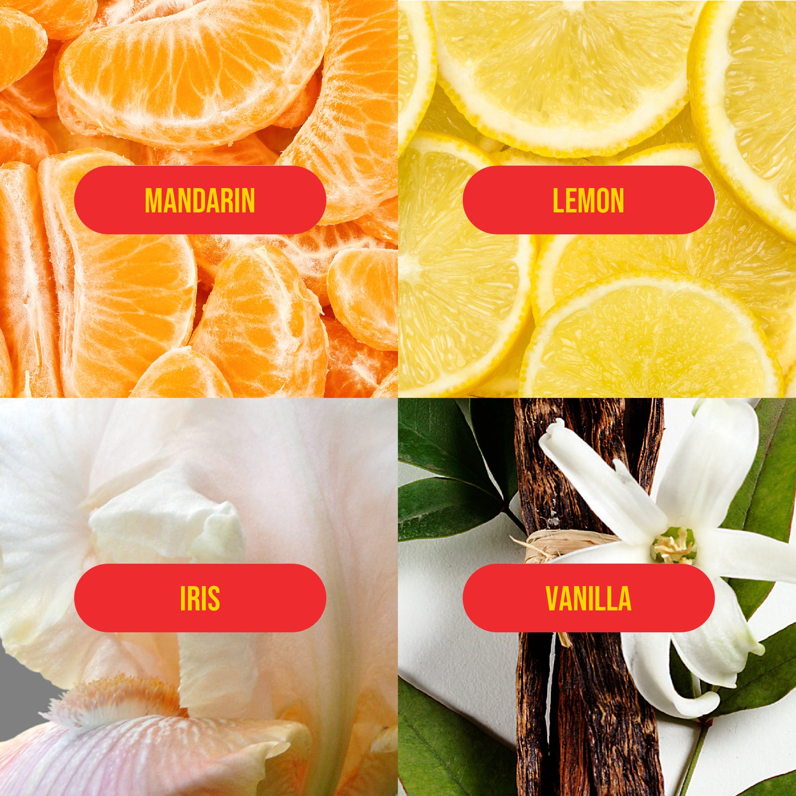 coconut ambre vanille fragrance notes including: mandarin, lemon, iris and vanilla