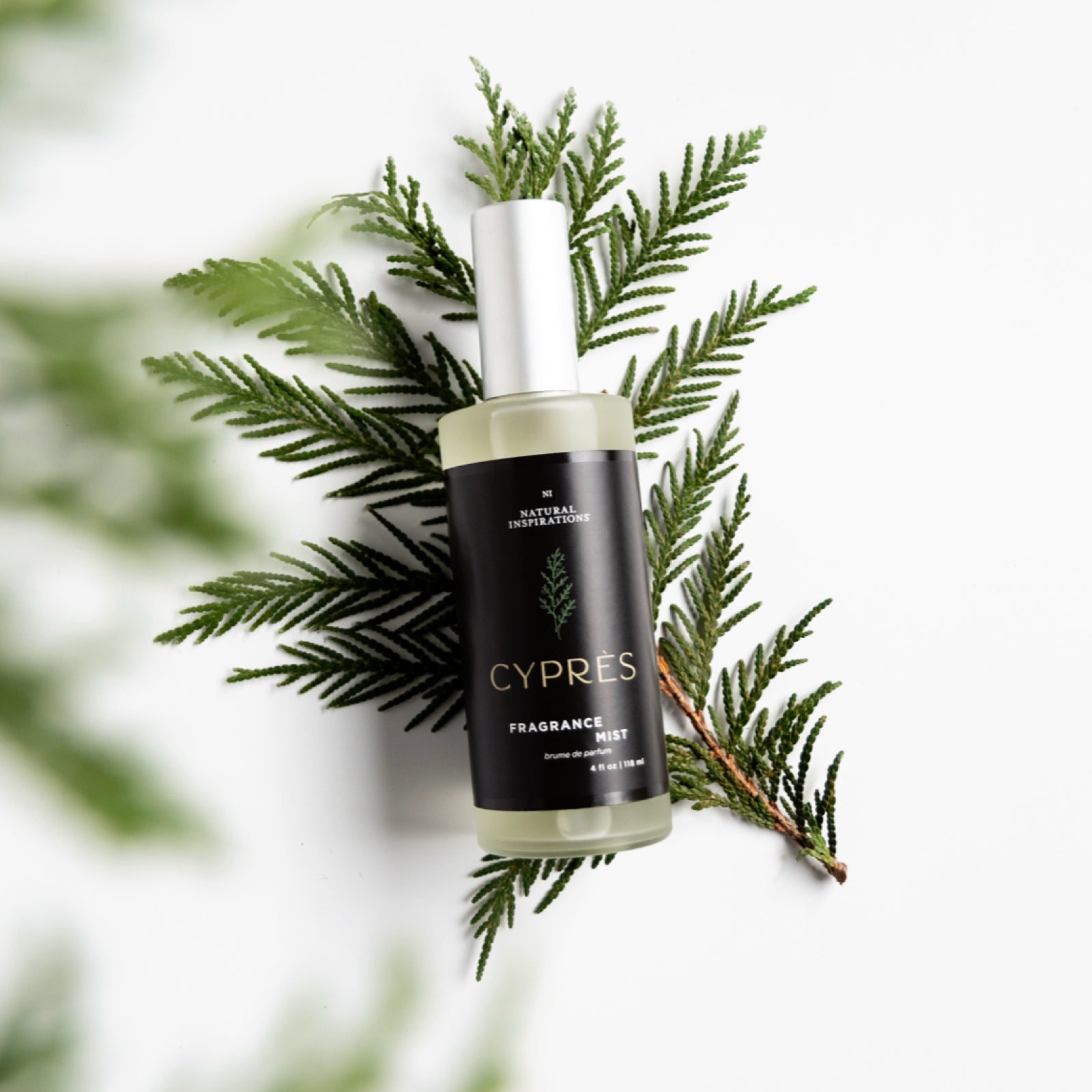 overhead view of cypres fragrance mist on a sprig of cypress