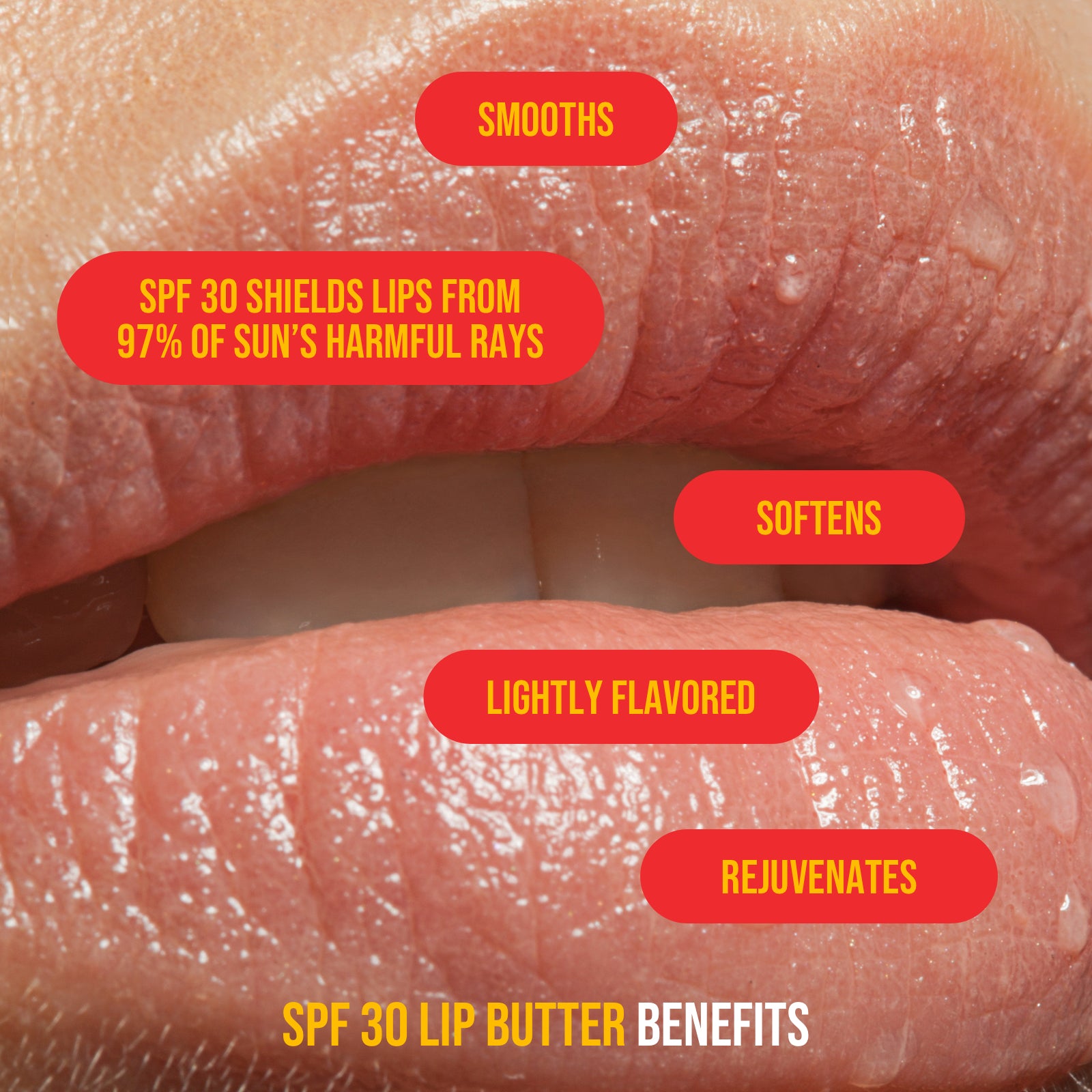 close up of woman's lips with listed benefits of spf 30 lip butter: smooths, spf 30 shields lips from 97% of sun's harmful rays, softens, lightly flavored, rejuvenates