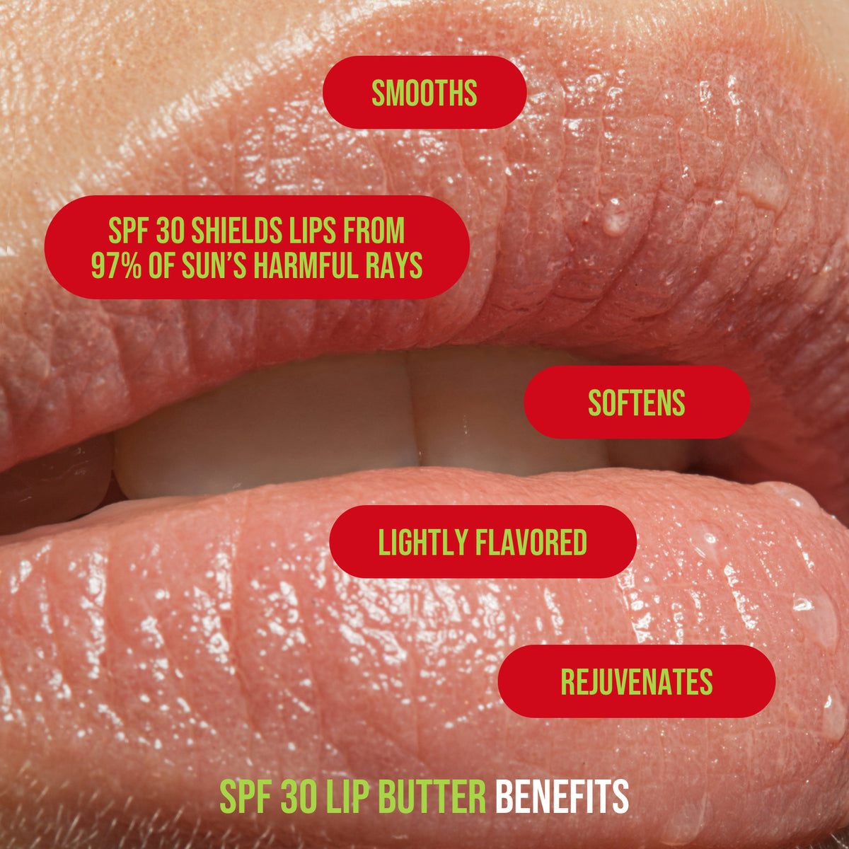 Holly Dazed - SPF 30 Lip Butter | Sassy and Co™ Holiday Collection