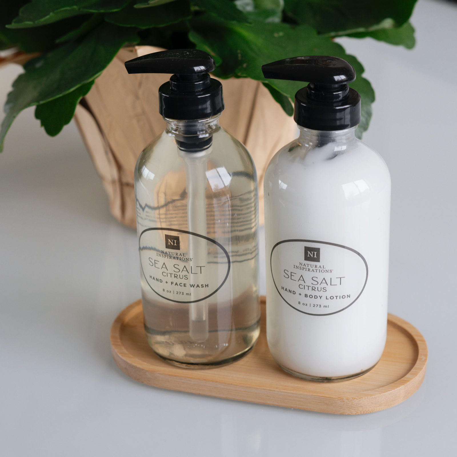sea salt citrus sink set on a glass table with a plant in the background