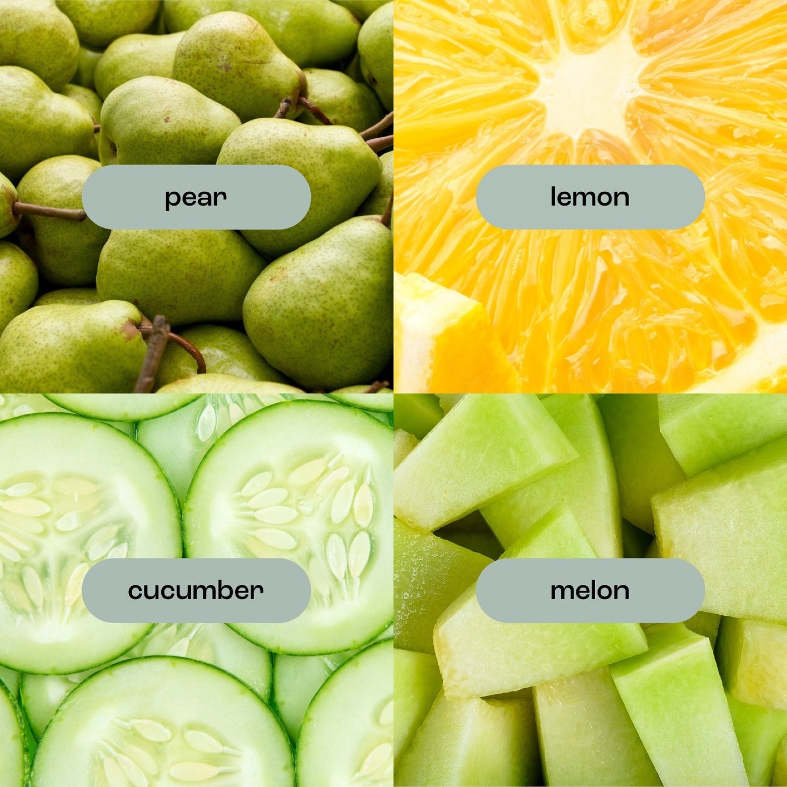 image of agave pear fragrance notes, including: pear, lemon, cucumber and melon