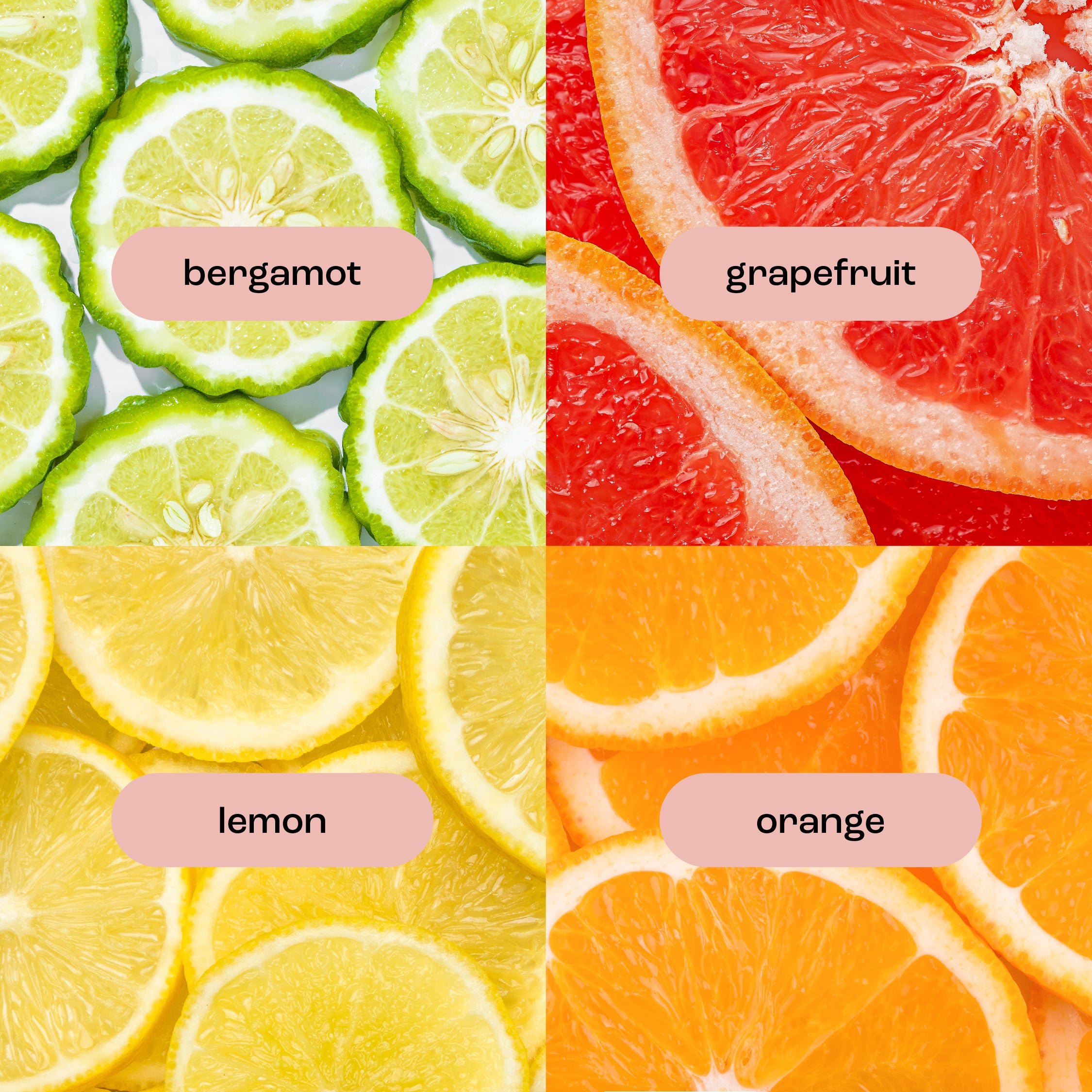grapefruit bergamot fragrance note images: grapefruit, bergamot, lemon, orange.